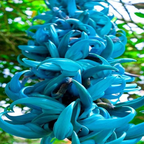 buy money on the dark web