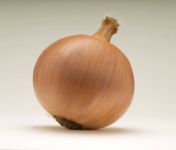 onion links credit card