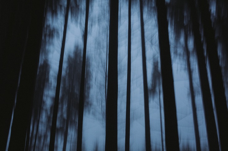 dark web links reddit