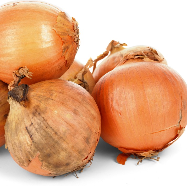 Onion Directory