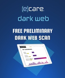 best dark web porn sites