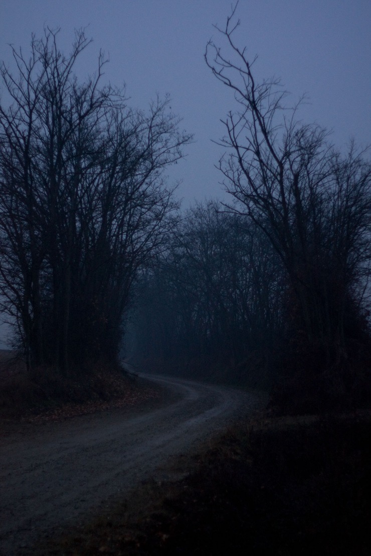 dark web monitoring services