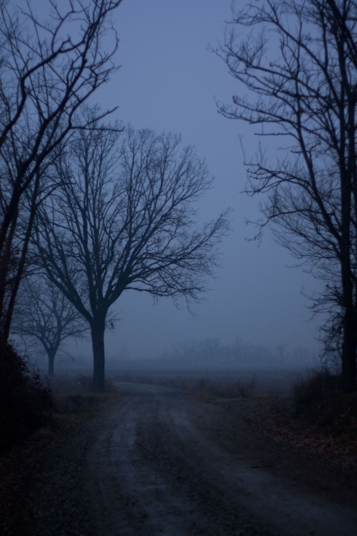 dark web markets 2023