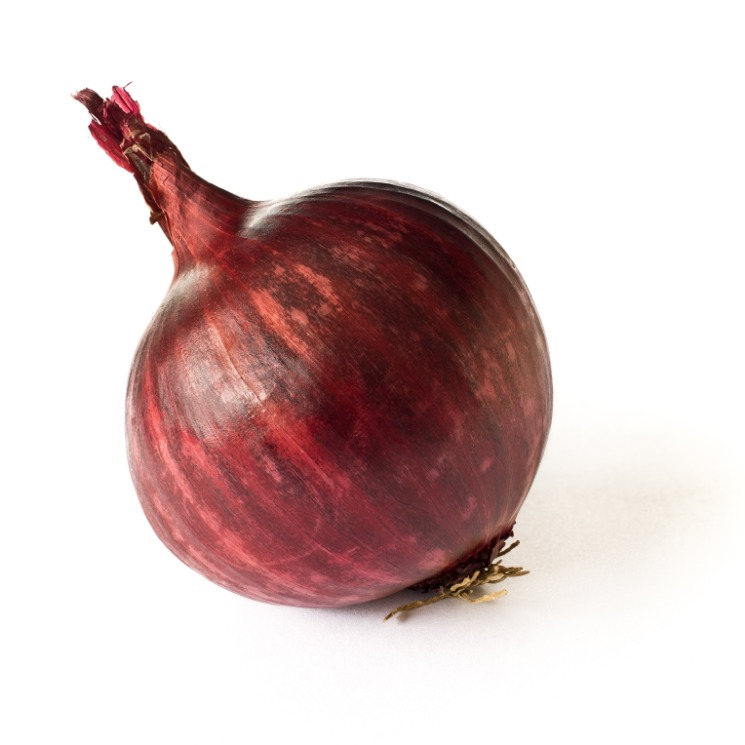 onion websites for credit cards