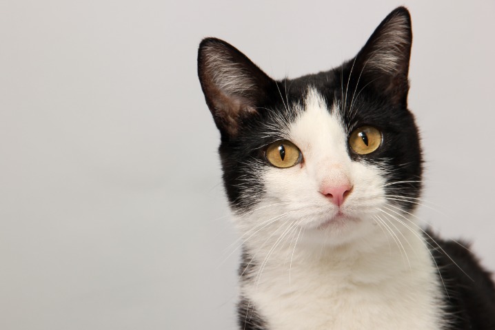 Black Market Prices For Drugs