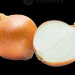 Onion Dark Web List