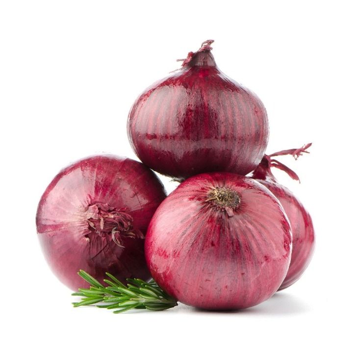 onion dark web list