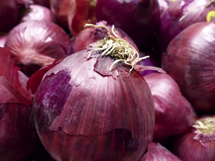 Onion Directory 2025