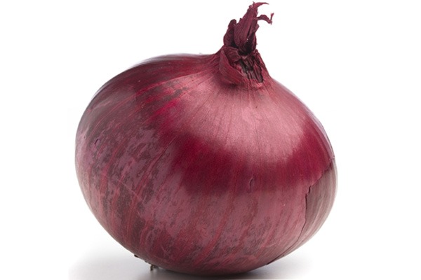 onion directory 2025