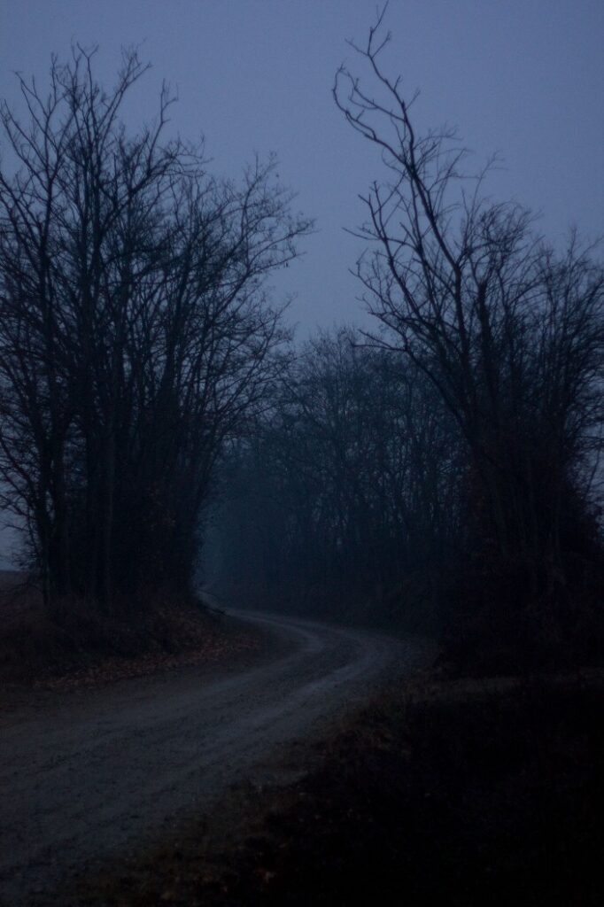 Dark Markets Thailand