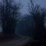 Dark Markets Croatia