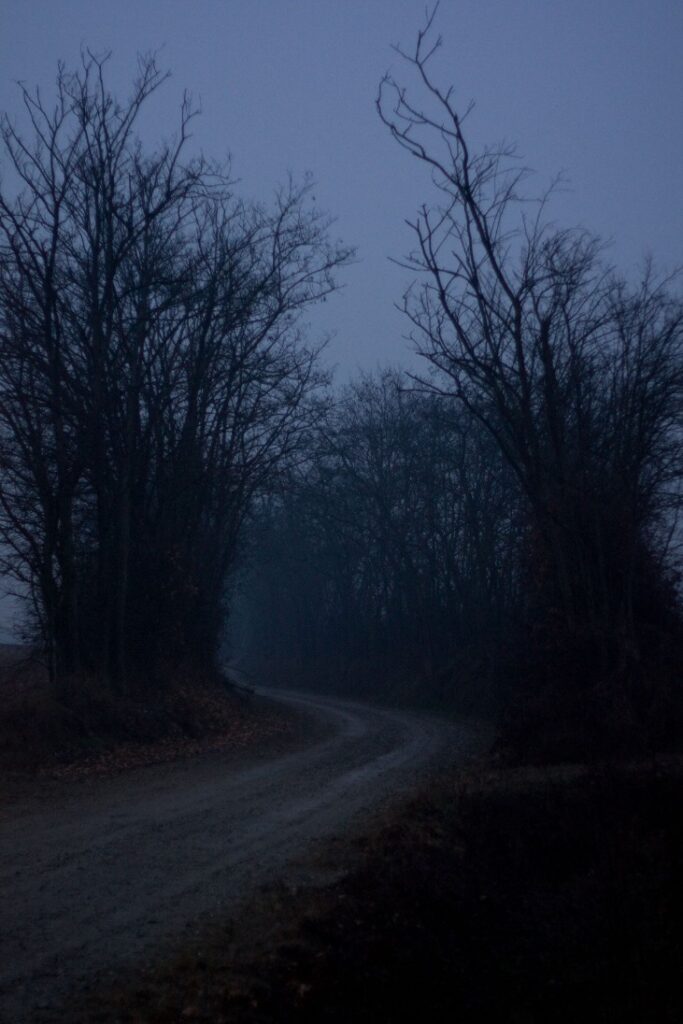 Dark Markets Croatia