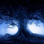 Dark Markets Austria