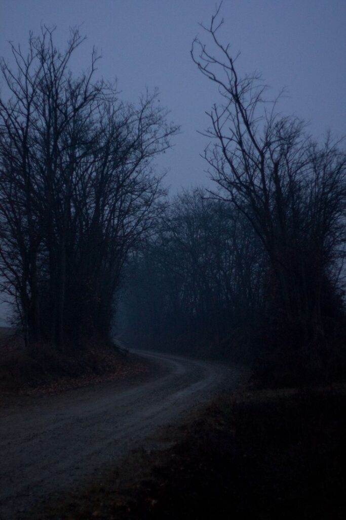 Dark Web Engine Search