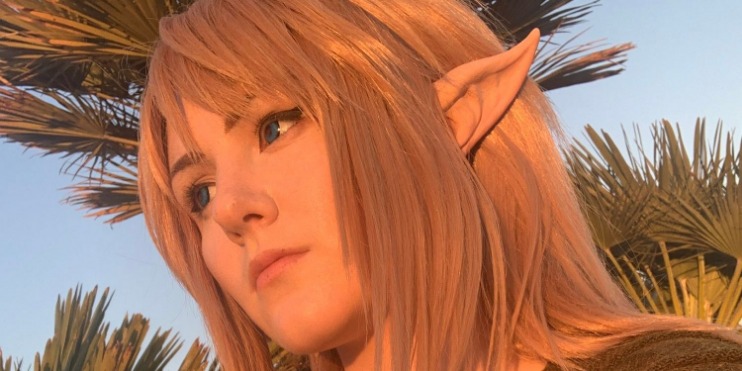 Kingdom link