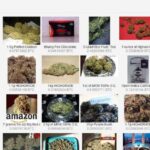 What Is A Darknet Drug Market Like