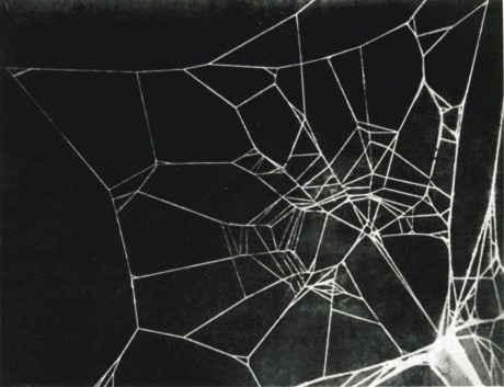 dark web prostitution