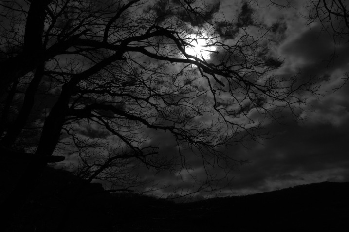 Dark Web Markets 2024 Reddit