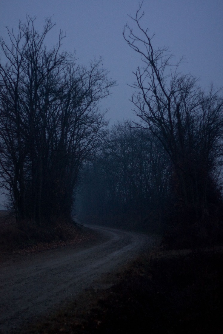 dark markets venezuela