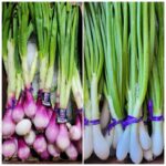 Onion Darknet Market
