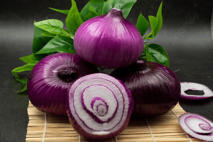 onion darknet market