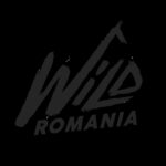 Dark Markets Romania