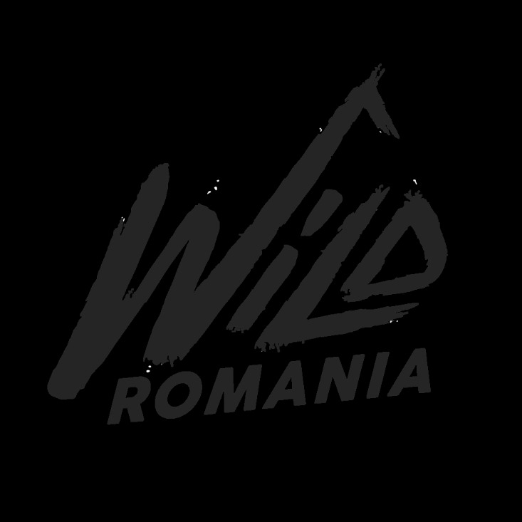 Dark Markets Romania