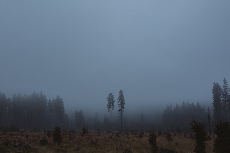 dark web markets reddit 2025