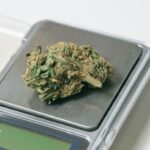 Weed Darknet Market