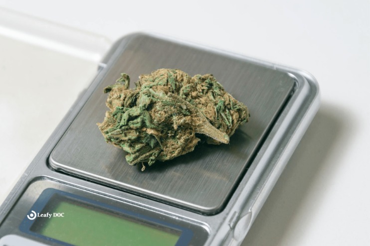 Weed Darknet Market