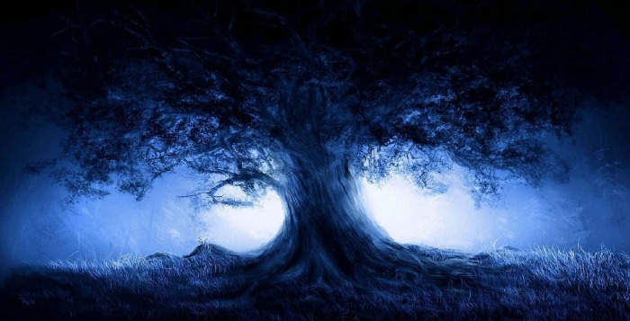 Dark Web Market Links