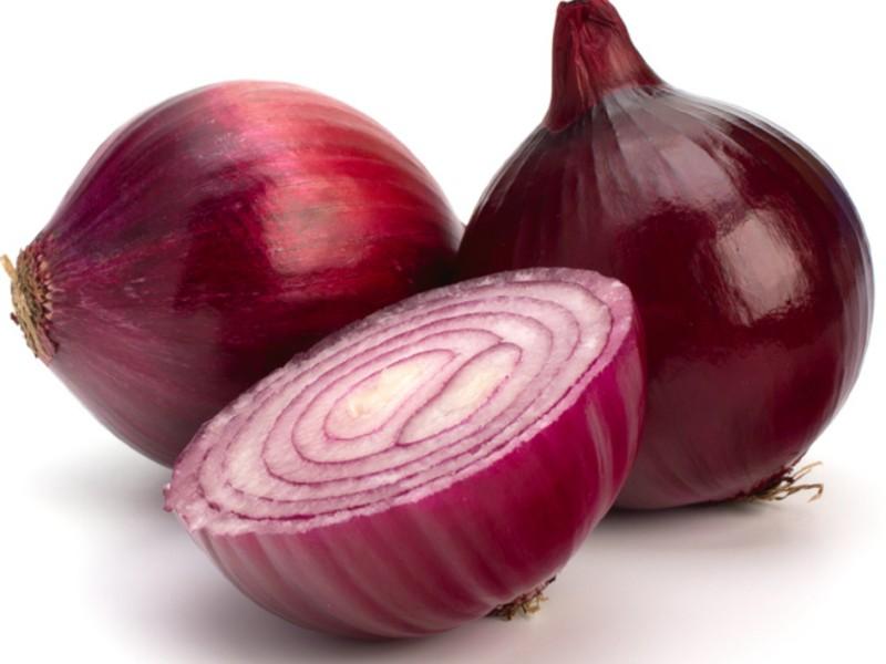 onion directory 2025