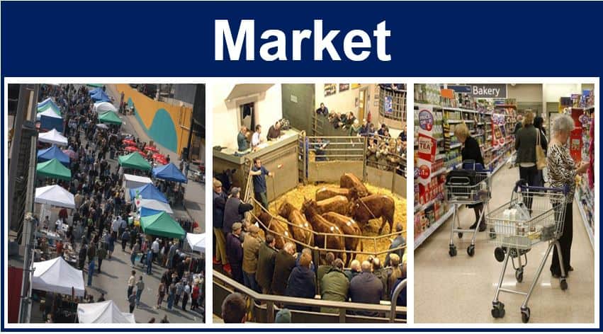 market links darknet