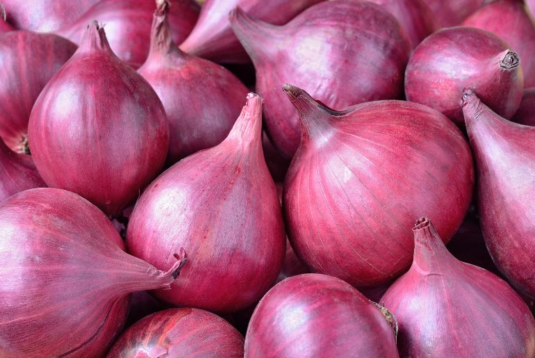 onion darknet market