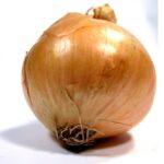 Onion Deep Web Wiki