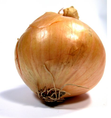 Onion Deep Web Wiki
