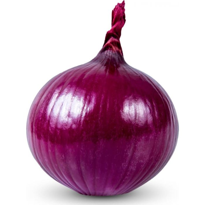 onion deep web wiki