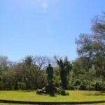 Dark Markets Paraguay