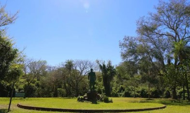 Dark Markets Paraguay