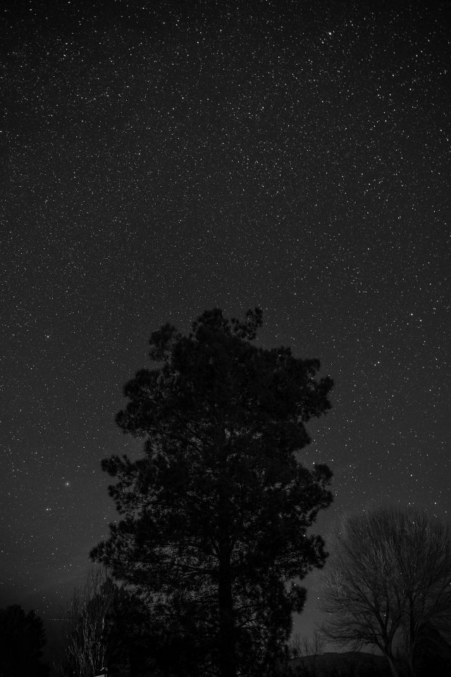 Dark Web Markets Reddit