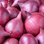 Onion Directory List